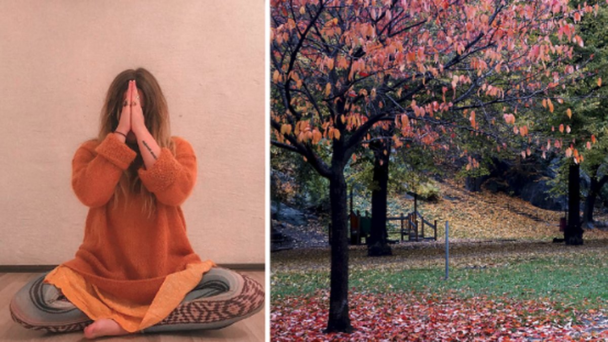 Amanda Tilly mediterar / Höstbild med träd och löv